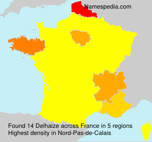 Surname Delhaize in France Surname Delhaize in France