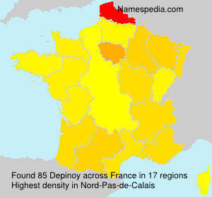 Surname Depinoy in France Surname Depinoy in France