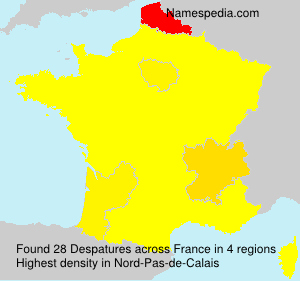 Surname Despatures in France Surname Despatures in France