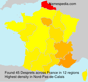 Surname Desprets in France