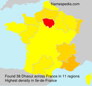 Surname Dhaoui in France Surname Dhaoui in France