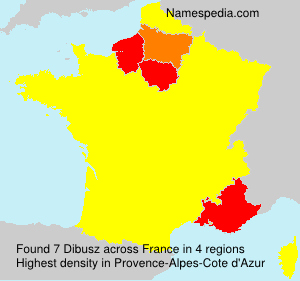 Surname Dibusz in France Surname Dibusz in France