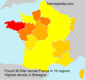 Surname Diler in France Surname Diler in France