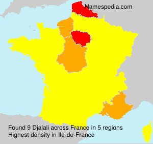 Surname Djalali in France Surname Djalali in France