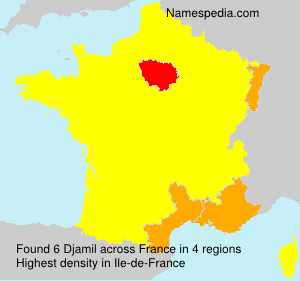 Surname Djamil in France Surname Djamil in France