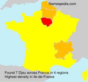 Surname Djau in France