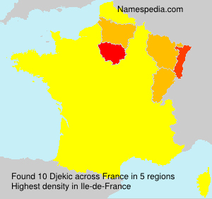 Surname Djekic in France Surname Djekic in France