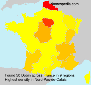 Surname Dobin in France Surname Dobin in France