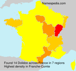 Surname Dolidze in France Surname Dolidze in France