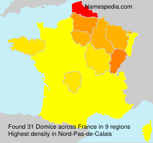 Surname Domice in France Surname Domice in France