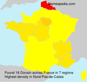 Surname Donain in France