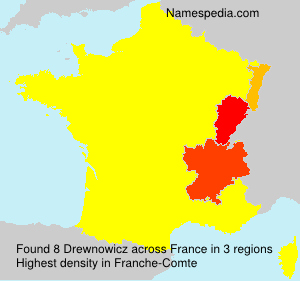 Surname Drewnowicz in France Surname Drewnowicz in France
