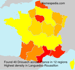 Surname Driouech in France Surname Driouech in France