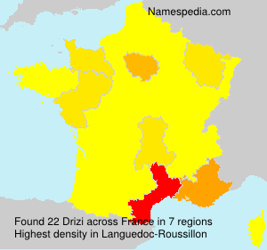 Surname Drizi in France Surname Drizi in France