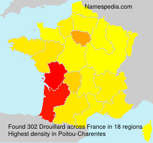 Surname Drouillard in France Surname Drouillard in France