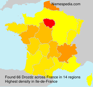 Surname Drozdz in France Surname Drozdz in France