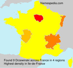 Surname Drzewinski in France Surname Drzewinski in France