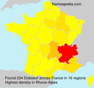 Surname Duboeuf in France