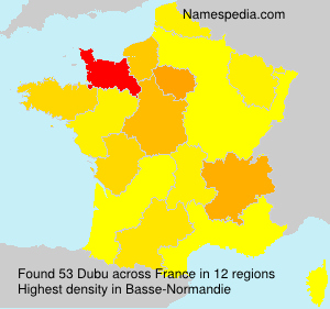 Surname Dubu in France Surname Dubu in France