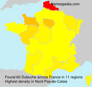 Dubuche Dubuche