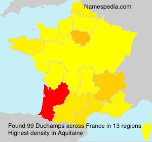 Duchamps Duchamps