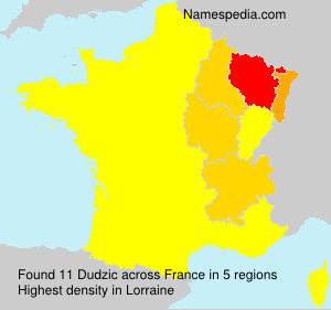 Surname Dudzic in France