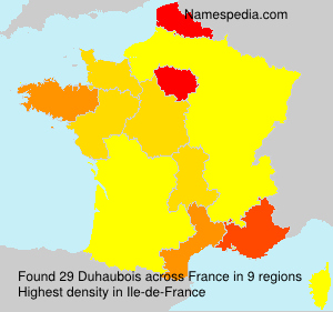 Surname Duhaubois in France Surname Duhaubois in France