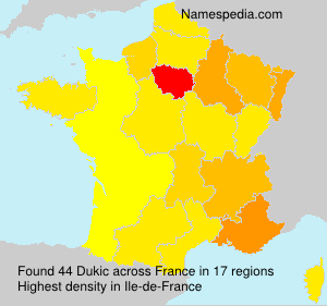Surname Dukic in France Surname Dukic in France