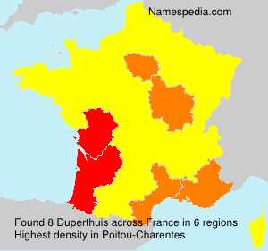 Surname Duperthuis in France Surname Duperthuis in France