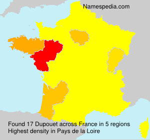 Surname Dupouet in France Surname Dupouet in France
