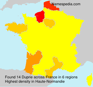 Surname Duprie in France