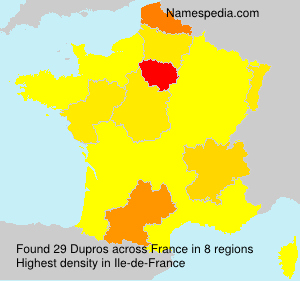 Surname Dupros in France Surname Dupros in France