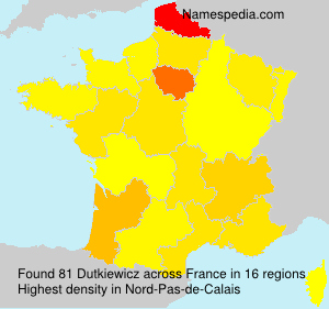 Surname Dutkiewicz in France Surname Dutkiewicz in France