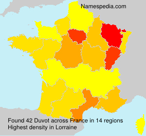 Surname Duvot in France Surname Duvot in France