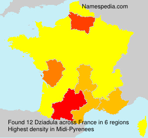 Surname Dziadula in France Surname Dziadula in France