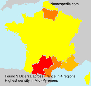 Surname Dzierza in France Surname Dzierza in France