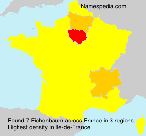 Surname Eichenbaum in France Surname Eichenbaum in France