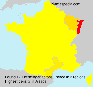 Surname Entzminger in France Surname Entzminger in France