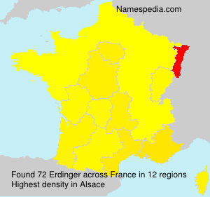 Surname Erdinger in France Surname Erdinger in France