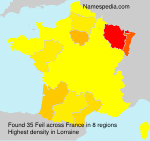 Feil Feil