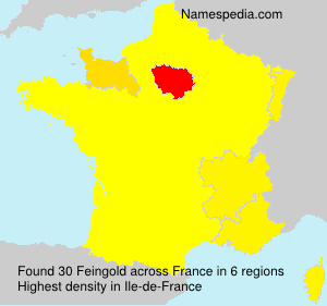 Surname Feingold in France Surname Feingold in France