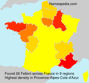 Felloni Felloni