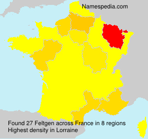 Surname Feltgen in France Surname Feltgen in France