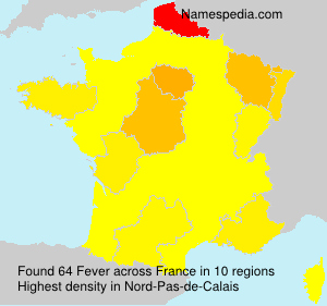 Surname Fever in France Surname Fever in France