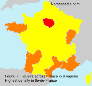 Surname Filgueira in France Surname Filgueira in France