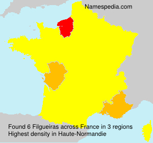Surname Filgueiras in France Surname Filgueiras in France