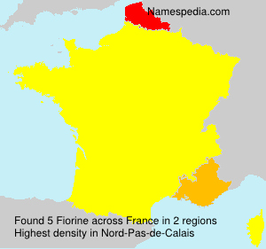 Surname Fiorine in France
