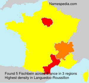 Surname Fischbein in France Surname Fischbein in France
