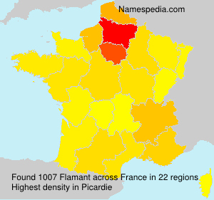 Flamant Flamant