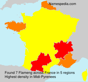 Surname Flameng in France Surname Flameng in France